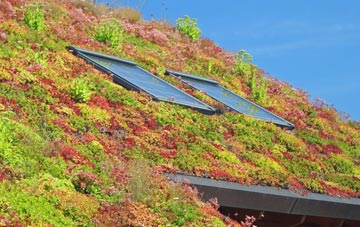 Sudgrove living roof systems