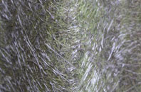 Sudgrove fibreglass roof work